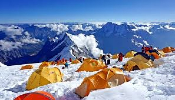 साउनदेखि जडीबुटी बीमा लागू हुने